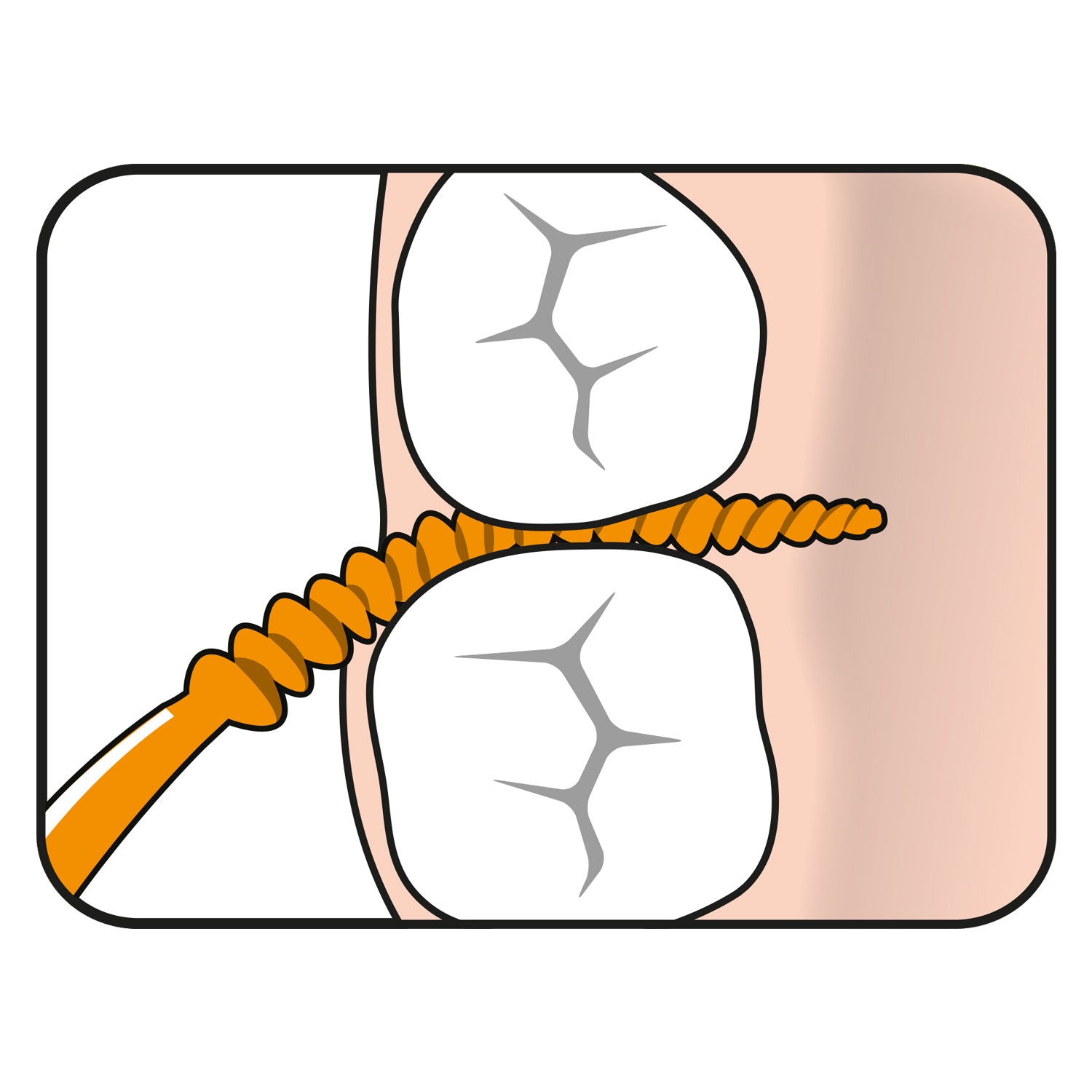 Easypick XS/S fra TePe