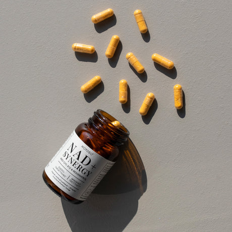 NORDBO Nad+ Synergy | 40 kapsler
