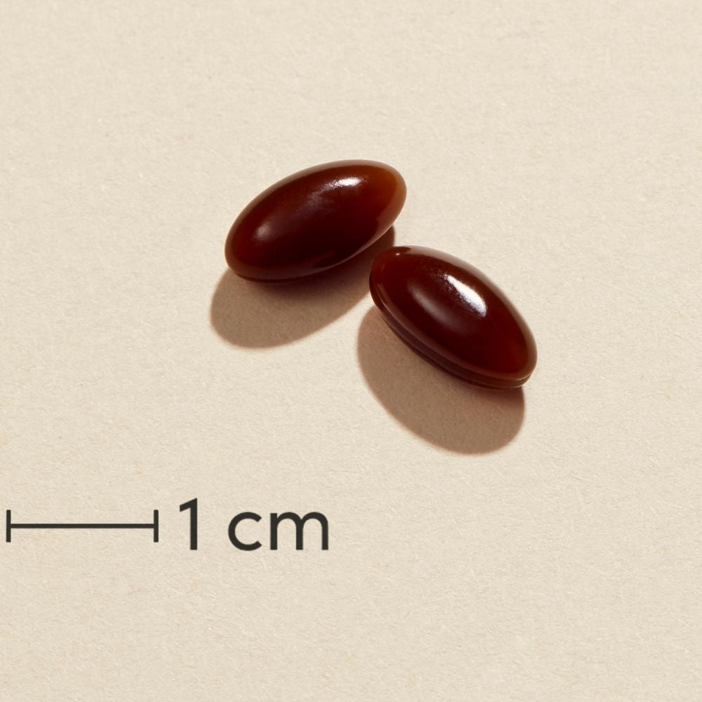 Biosym Omnivita Veg D Forte | 60 kapsler fra Biosym