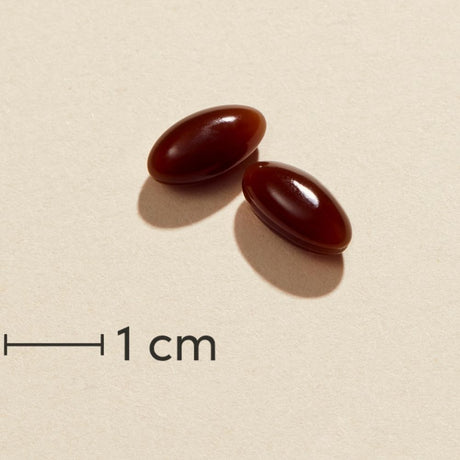 Biosym Omnivita Veg D Forte | 60 kapsler fra Biosym