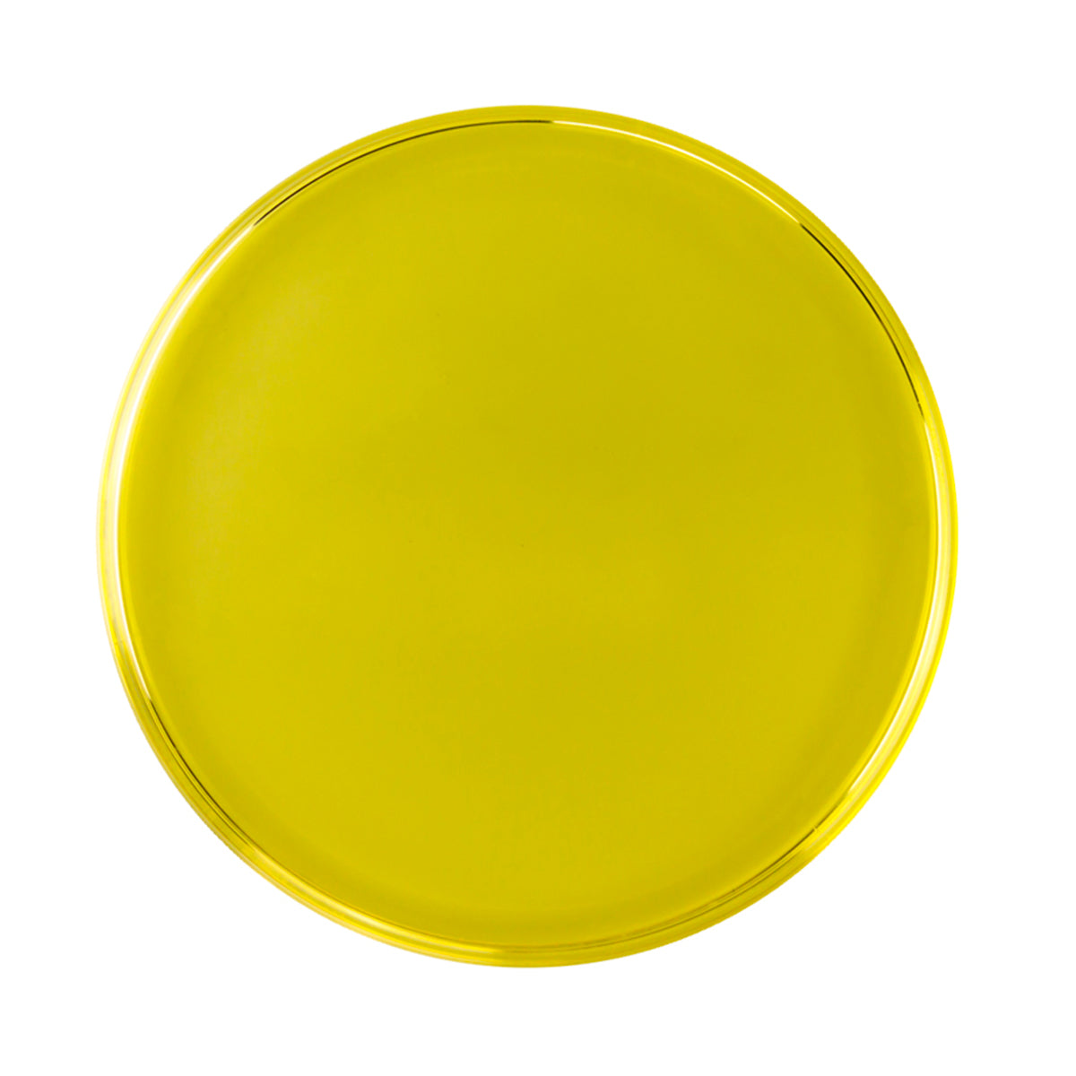 Økologisk Jojobaolje fra Naturligolie