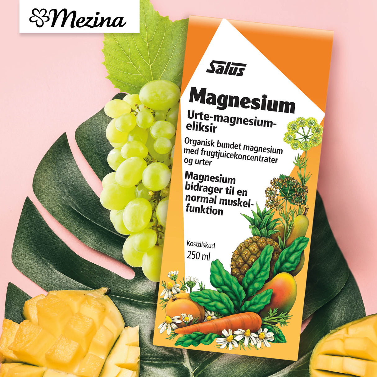 Floradix Magnesium fra Salus