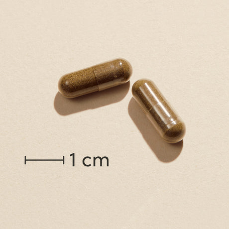 Biosym Omnivita Echinagold | 60 kapsler fra Biosym