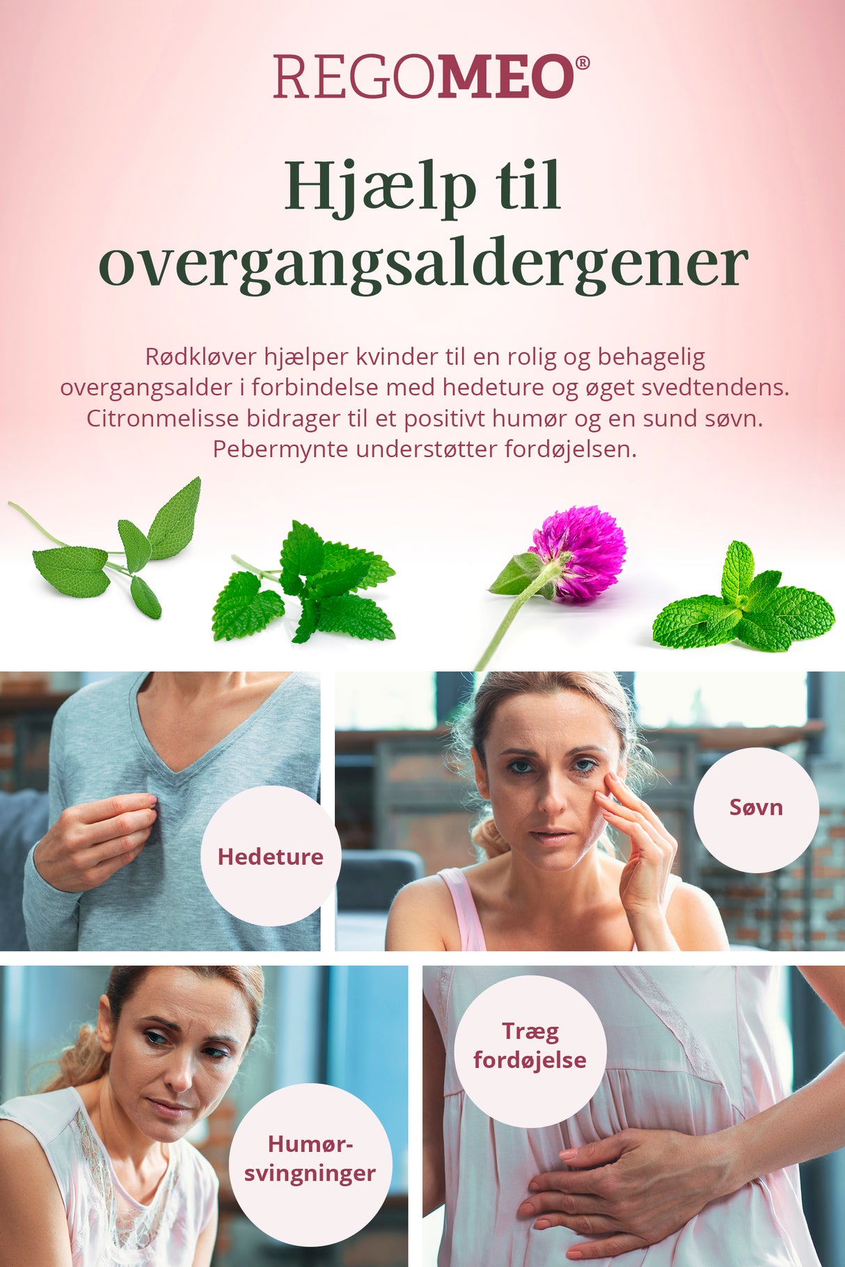 REGOMEO Rødkløverekstrakt fra Herrens Mark