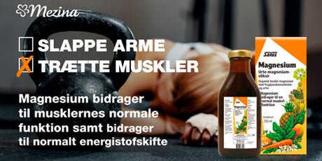 Alt det gode med Salus Magnesium