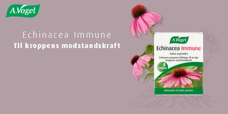 Kjenner du til Echinacea Immune fra A.Vogel?
