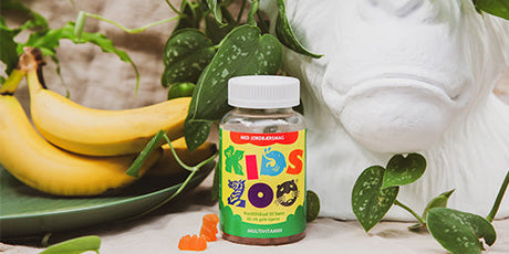 Kids Zoo kosttilskudd til barn