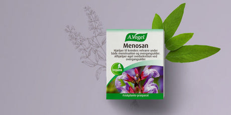 Overgangsalder med Menosan fra A.Vogel
