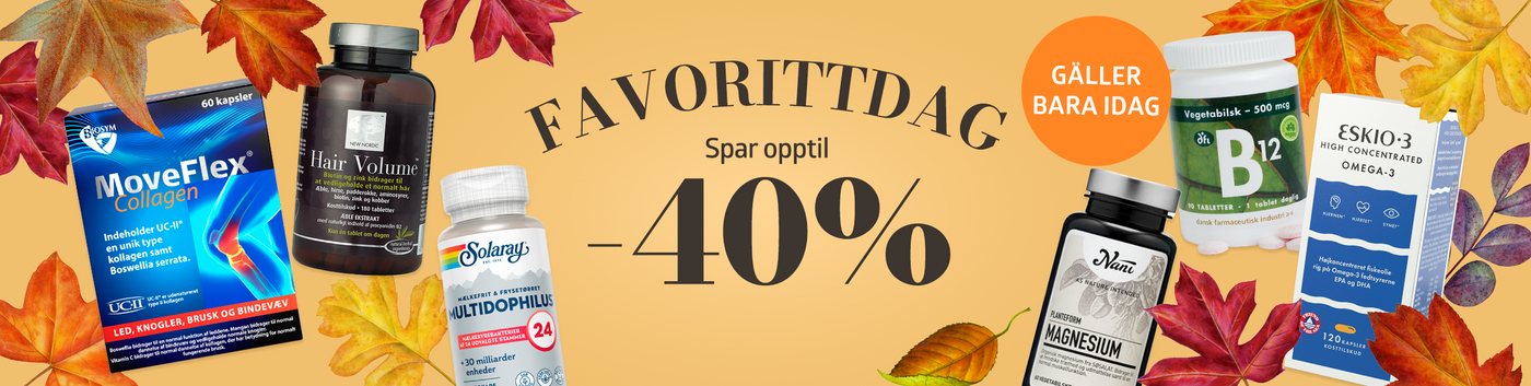 Favorittdag