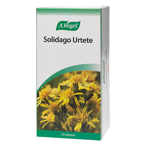Solidago Urtete breve