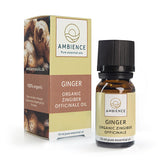Ingefærolje, Øko fra Ambience