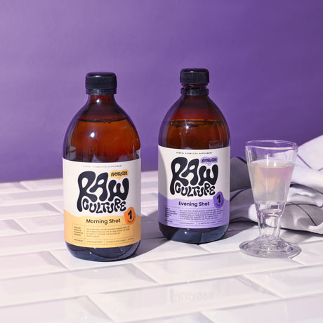 Kombucha Morning Shot Øko fra Raw Culture