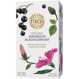 Tulsi Gorgeous Blackcurrant Te Ø | 20 br fra Tulsi