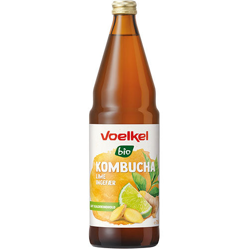 Kombucha Lime - Ingefær Øko