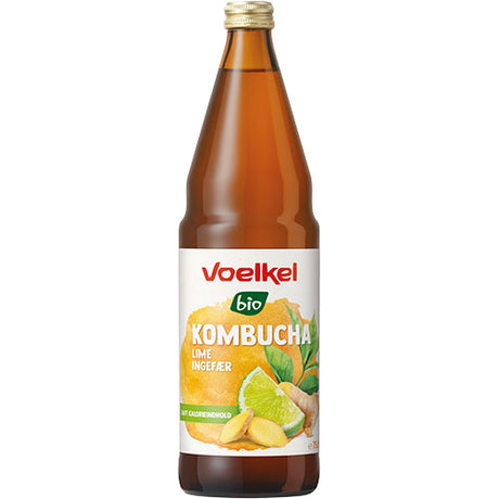 Kombucha Lime - Ingefær Øko