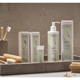 Arnica Salve