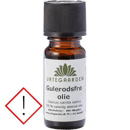 Gulrotfrøolje