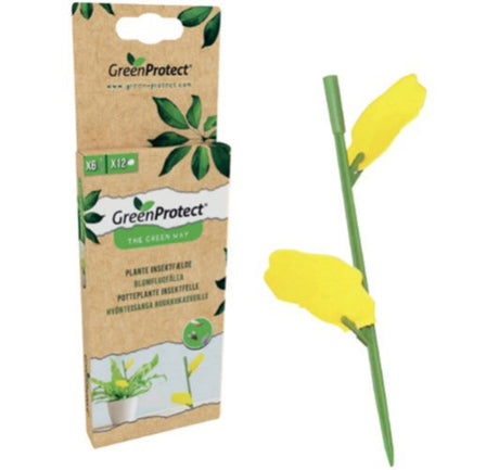 Plante Insektsfelle