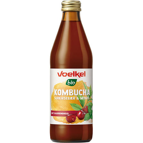 Kombucha Surkirsebær-Mynte Økologisk