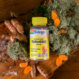 Gurkemeie Fermentert