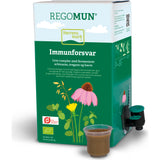 Regomun Urte-Complex