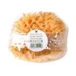 Croll & Denecke, Natursvamp