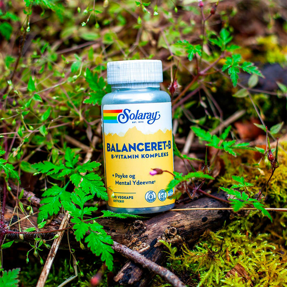 Balansert B-Vitamin Kompleks