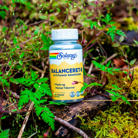 Balansert B-Vitamin Kompleks
