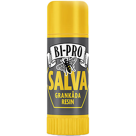Salve Stift