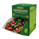 Mariahøner lys sjokolade m. trøffelfyll 4,7g Øko ca. 170 stk fra Rapunzel