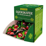 Mariahøner lys sjokolade m. trøffelfyll 4,7g Øko ca. 170 stk