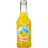 Naturfrisk Appelsinbrus Ø | 250 ml fra Naturfrisk