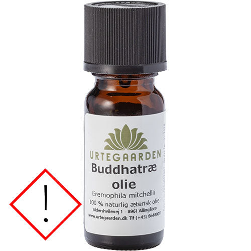 Buddhatreolje