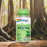 Wild Yam Rot
