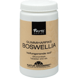 Natur-Drogeriet Boswellia | 240 tabletter fra Natur-Drogeriet