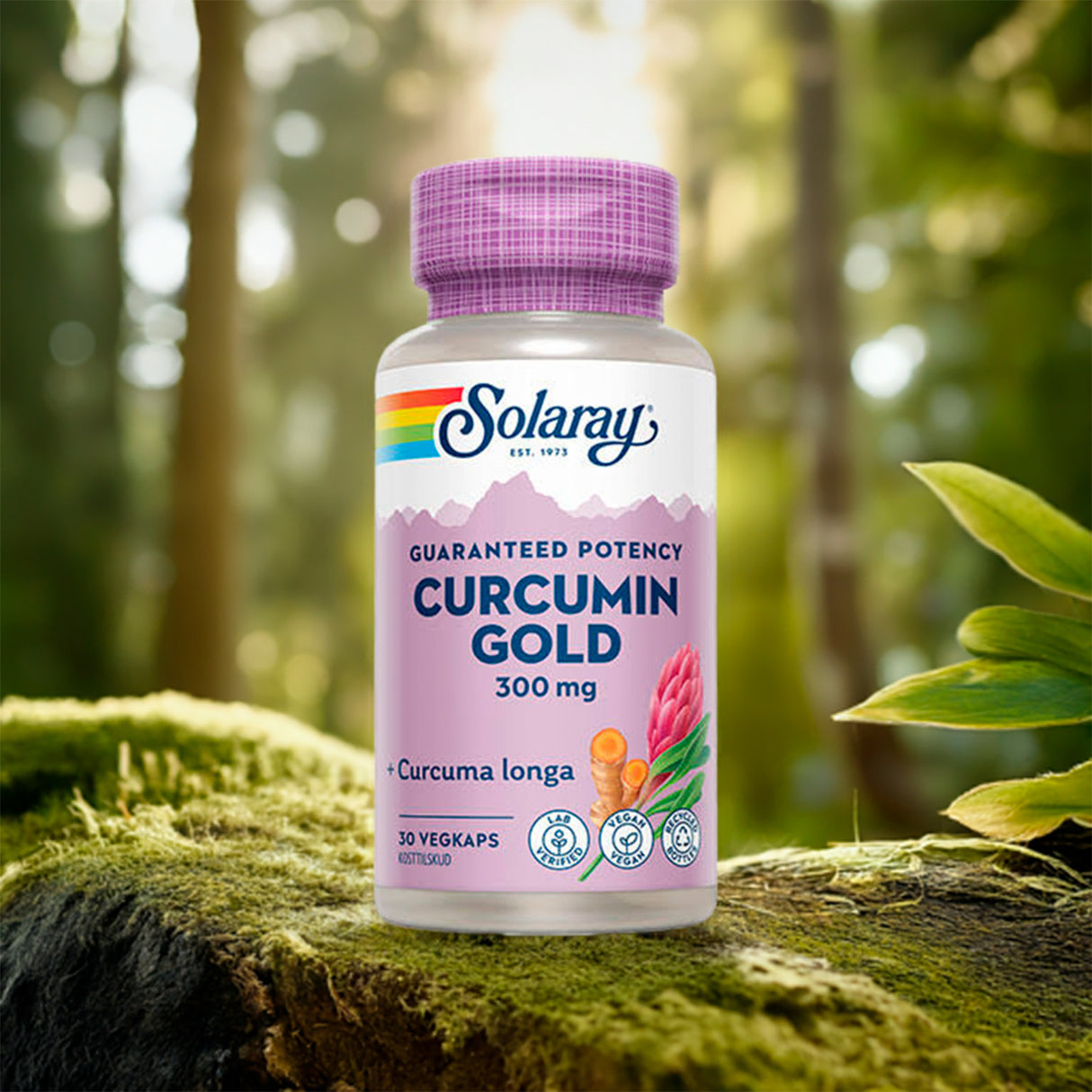 Curcumin Gold Gurkmeie