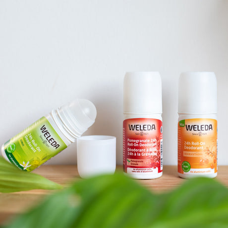 Sitrus 24h Roll-On Deodorant