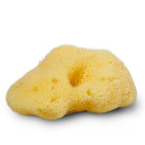 Natursvamp Silke, 4-5 cm fra Cocoon