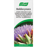 Boldocynara