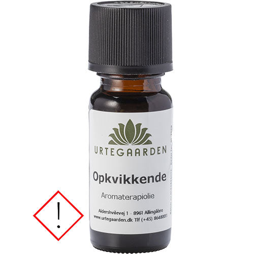 Oppkvikkende