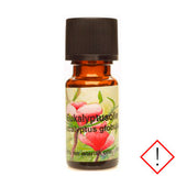 Unique Eukalyptusolje Eterisk fra Mecindo.no