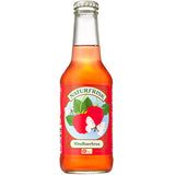 Naturfrisk Hindbærbrus Ø | 250 ml fra Naturfrisk